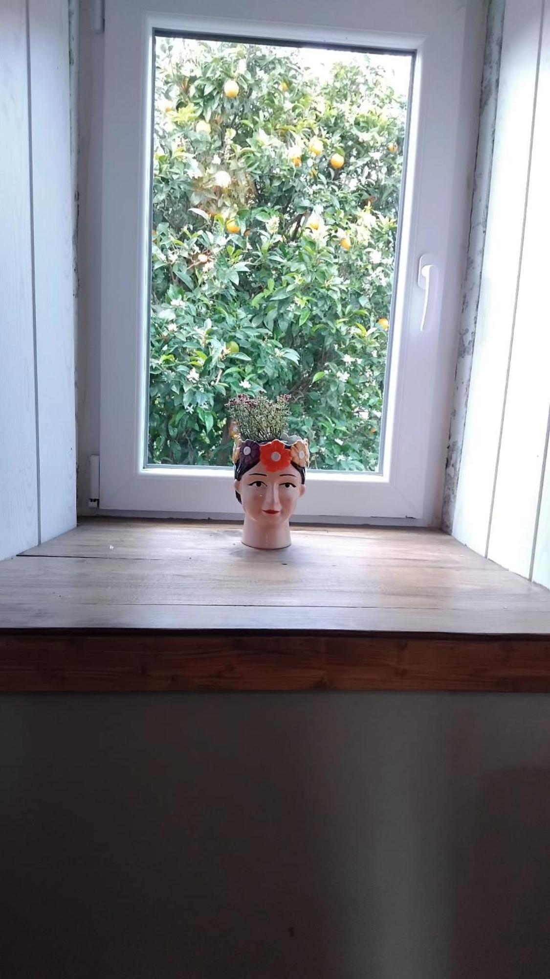 Casa Das Rocas 카스타녜이라 지 페라 외부 사진